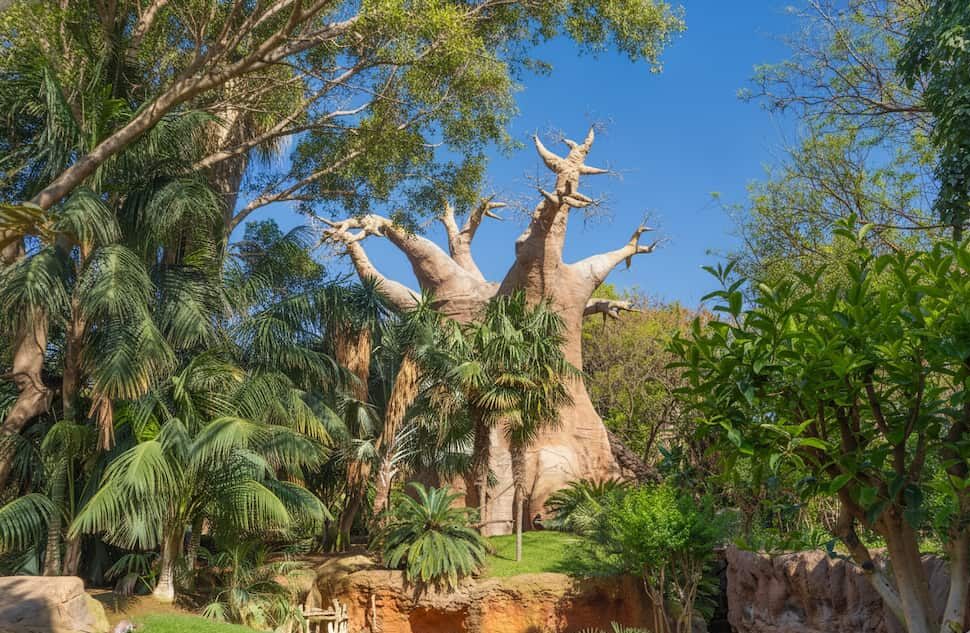 bioparc Fuengirola niños