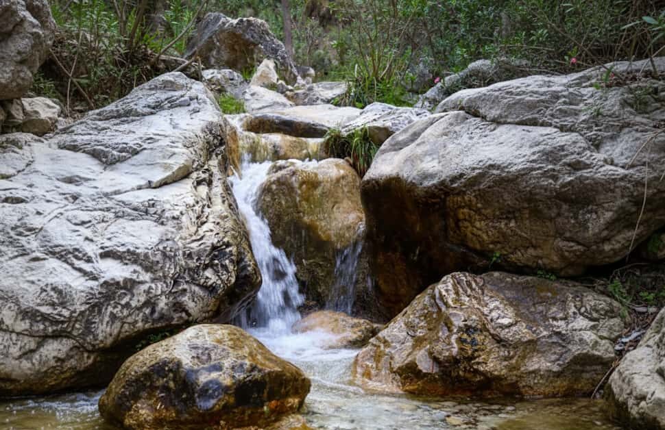 rio chillar nejar
